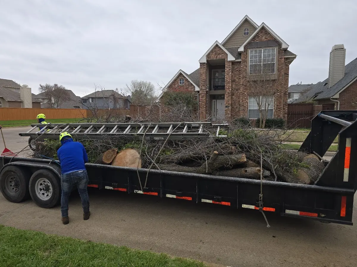 Expert Tree Fertilization with proper safety equipment in Livingston